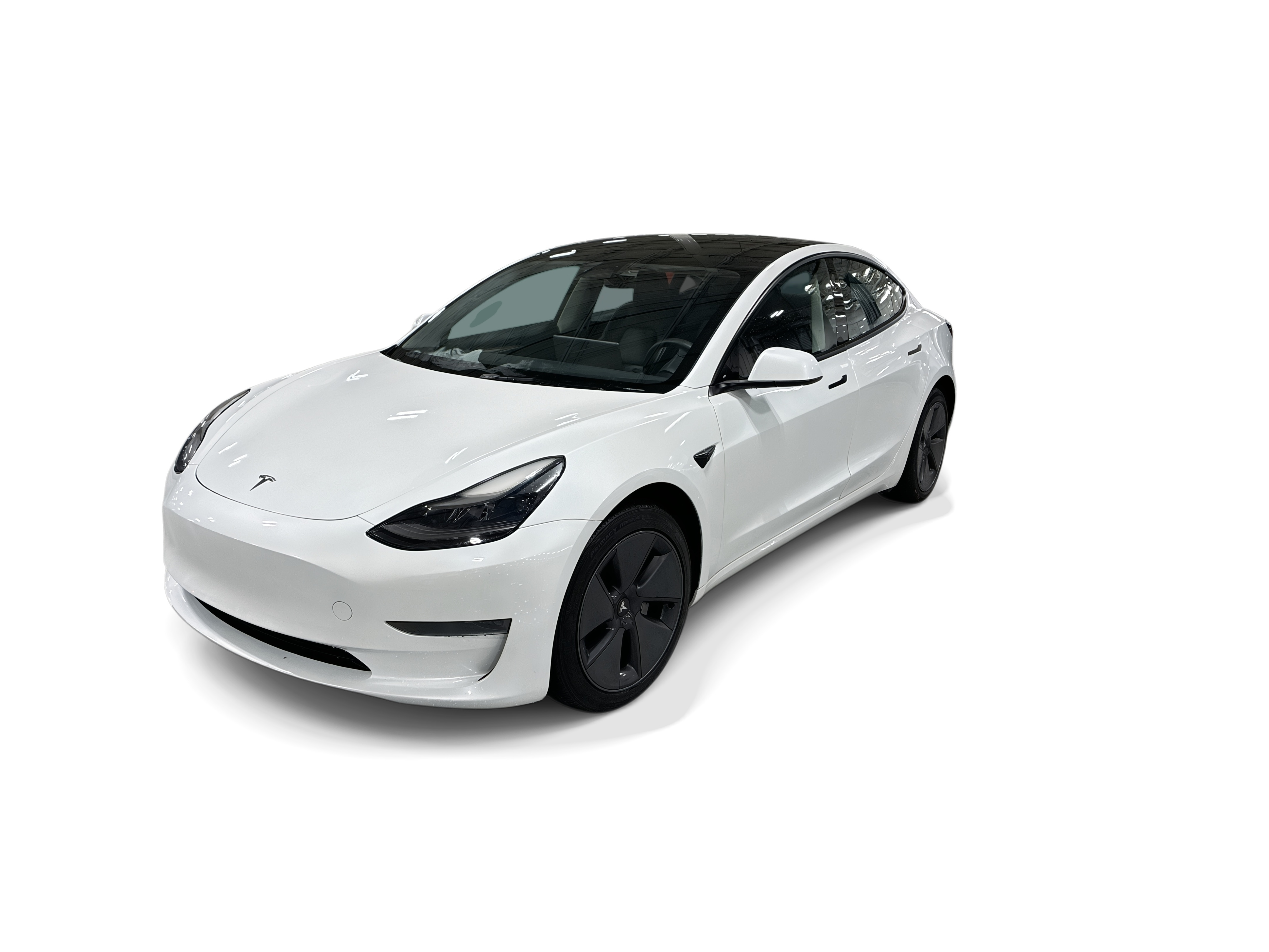tesla model 3 2023 5YJ3E1EA8PF512896 image tesla model 3 2023 5YJ3E1EA8PF512896 image